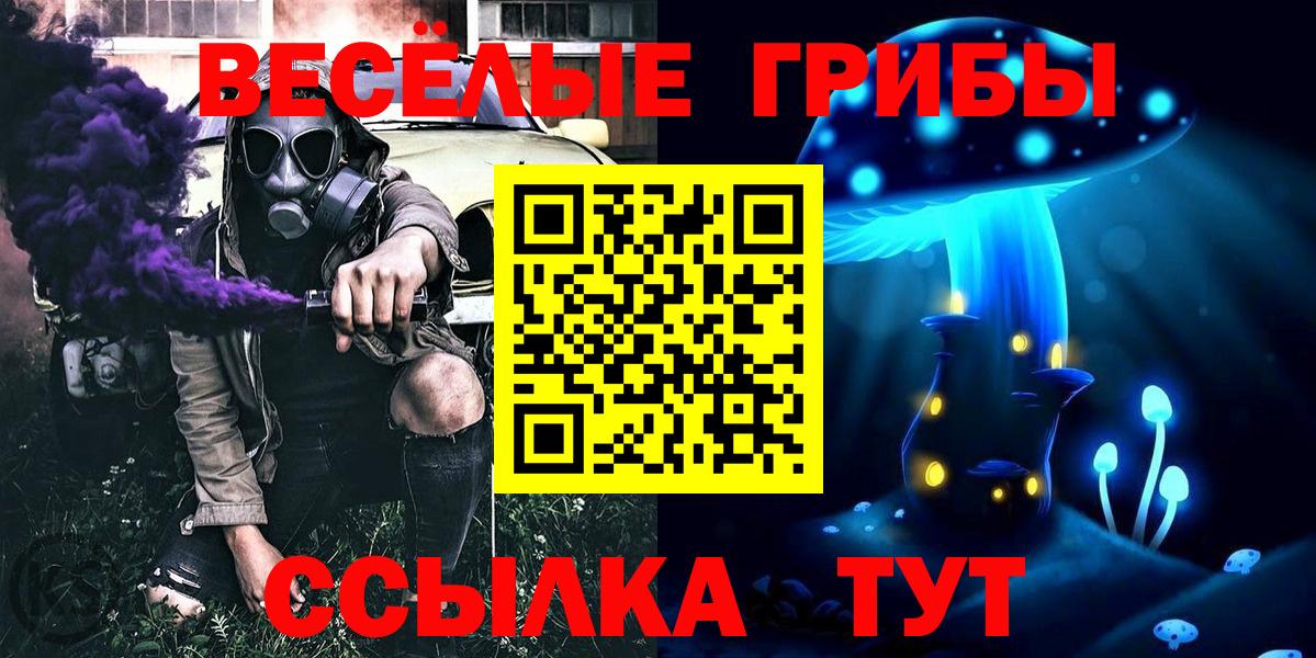 Псилоцибиновые грибы ЛСД Богданович