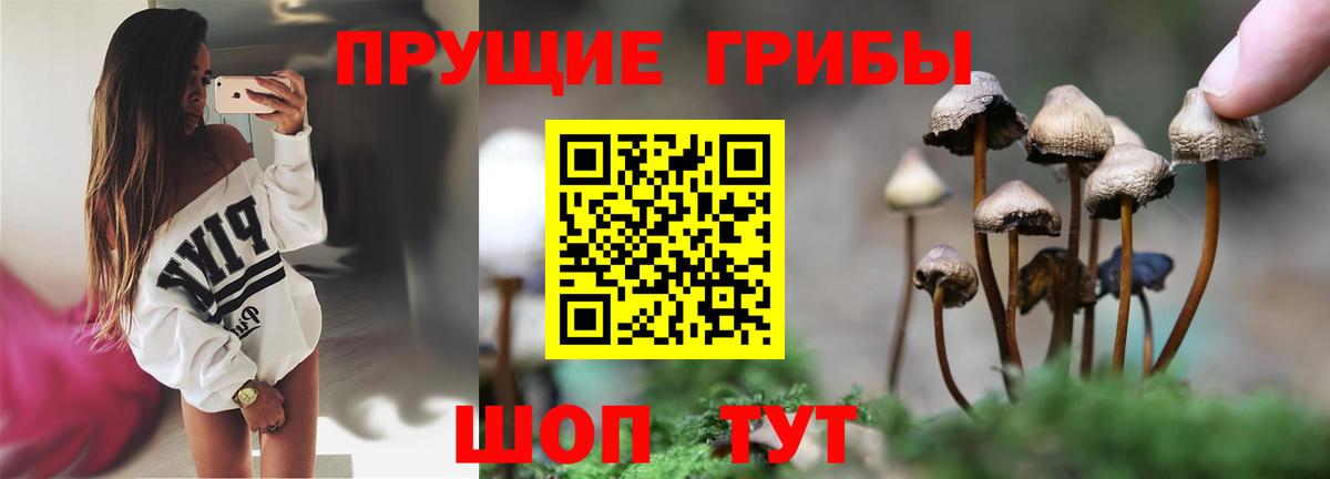 Галлюциногенные грибы мицелий  Псилоцибиновые грибы мухоморы  Богданович  Вход с VPN 