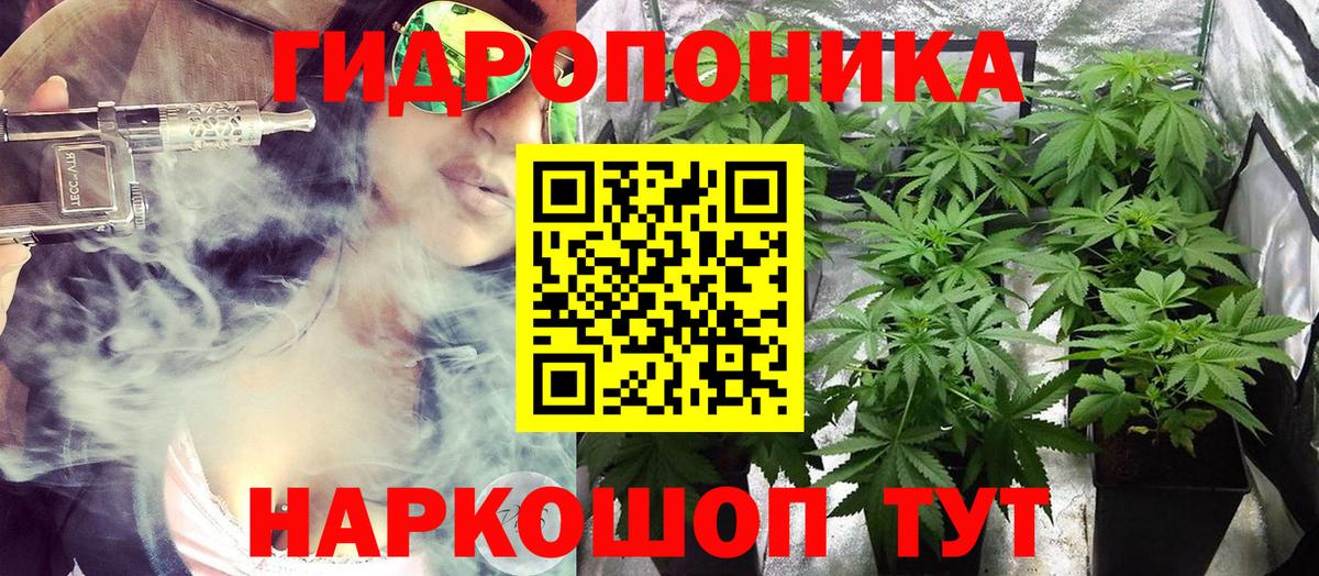 Бошки марихуана MAZAR Богданович